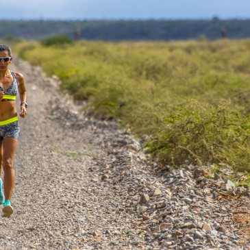 ¿Cuál es la Temperatura ideal para correr?